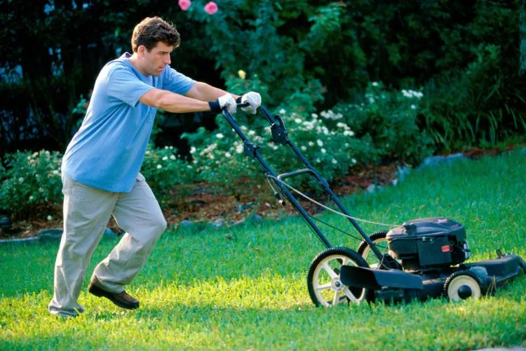 Guidelines for Mowing the Lawn with a Pacemaker