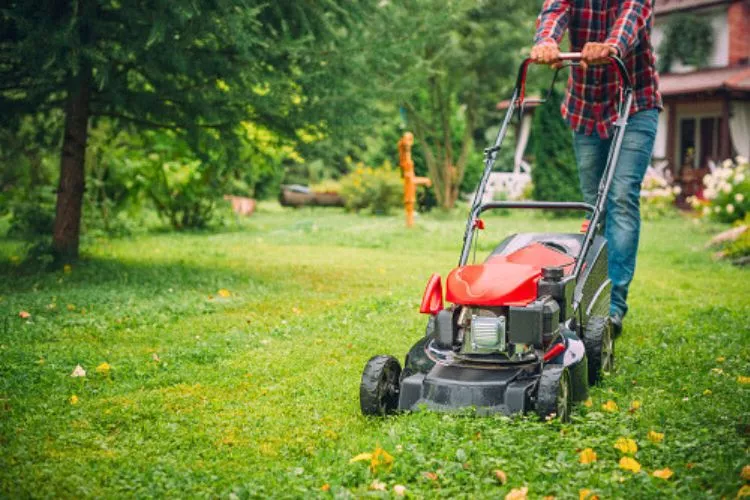 How does a lawn mower fuel pump work