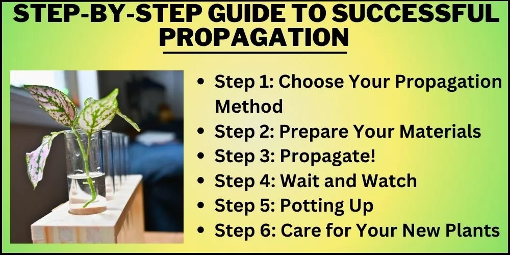 Step-by-step guide to successful propagation 