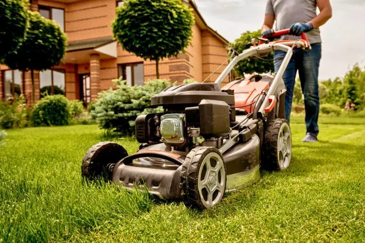 Understanding Lawn Mower Fuel Systems