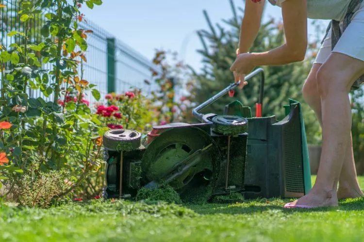 Consequences of Violating Lawn Mowing Regulations