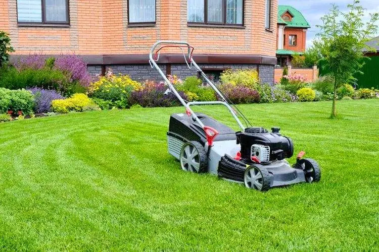 How Early Can You Legally Mow Your Lawn