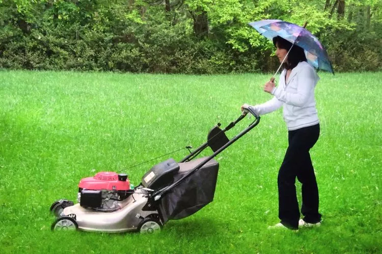 How early can you legally mow your lawn