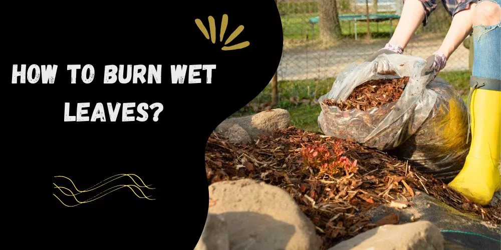 How to burn wet leaves