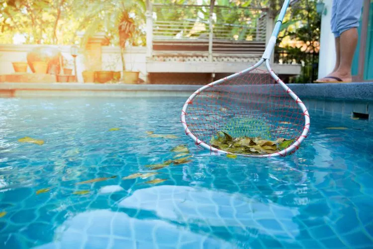 How to get leaves out of pool