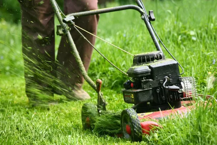 Municipal Regulations on Lawn Mowing