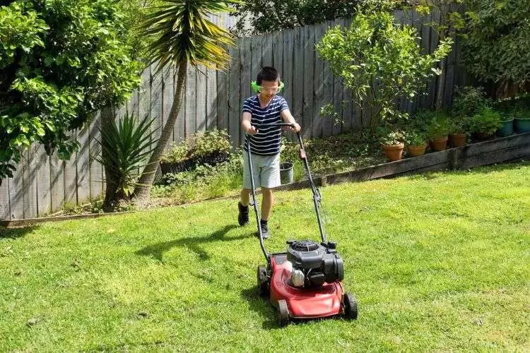 Pros and Cons of mowing your lawn early