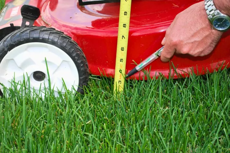 Adjusting the mowing height 