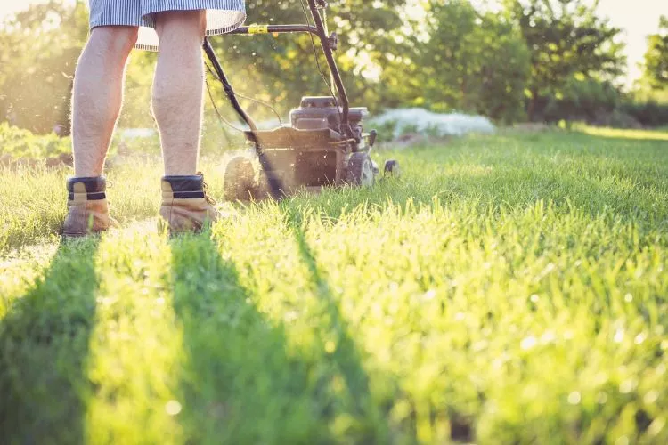 Is 90 degrees too hot to mow? everything you should know