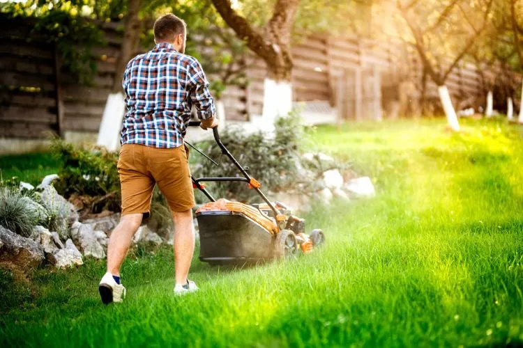 Mowing Strategies for Hot Weather