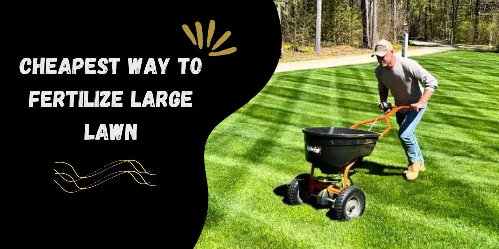 Cheapest way to fertilize large lawn