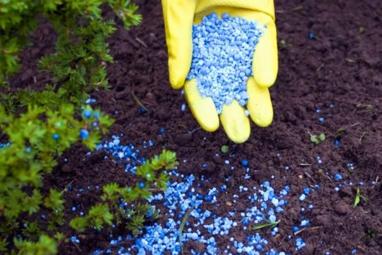 Tips for Saving Money on Fertilizer 