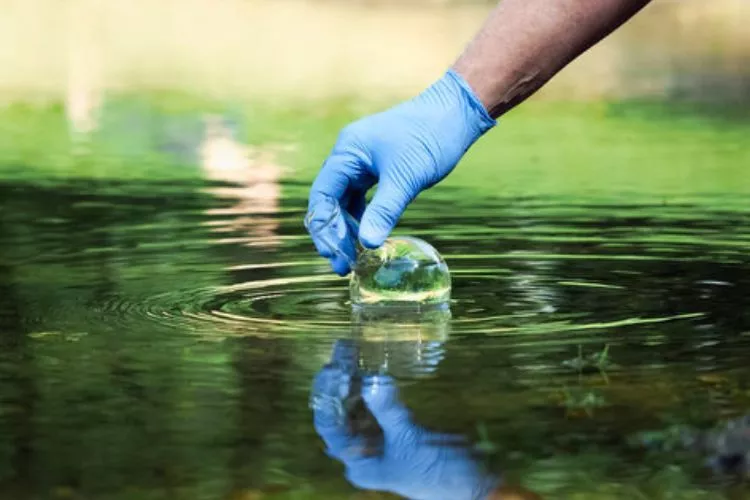 Water quality testing 