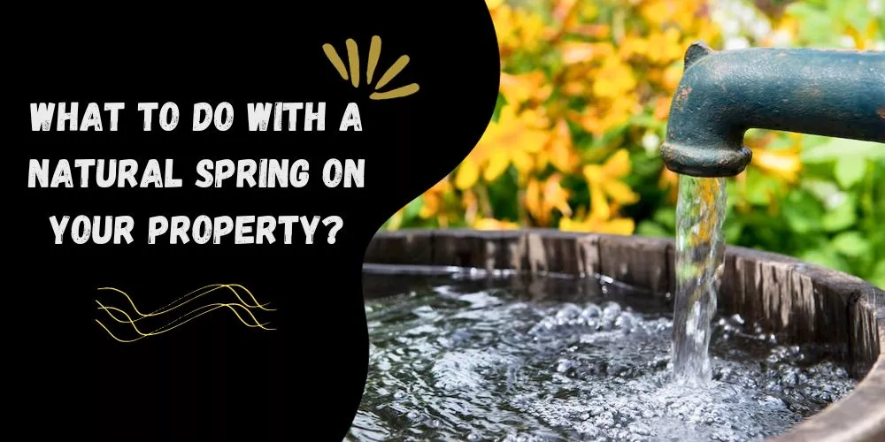 What to do with a natural spring on your property